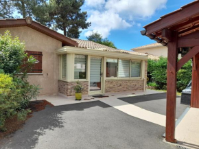 Maison familiale avec jardin, proche Dune du Pyla et parcs, idéale pour vacances ensoleillées - FR-1-319-362